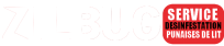 ZILBUG LOGO Service 02 BLANC 02