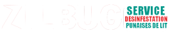 ZILBUG LOGO Service 02 BLANC